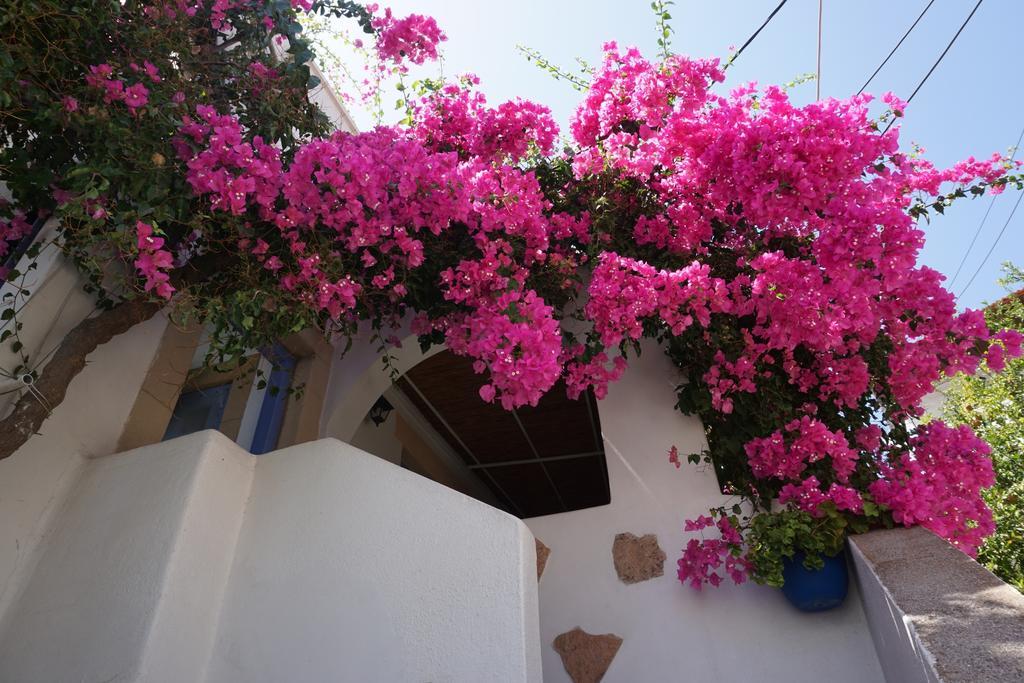 Patmos Maria Studios Skála Rum bild